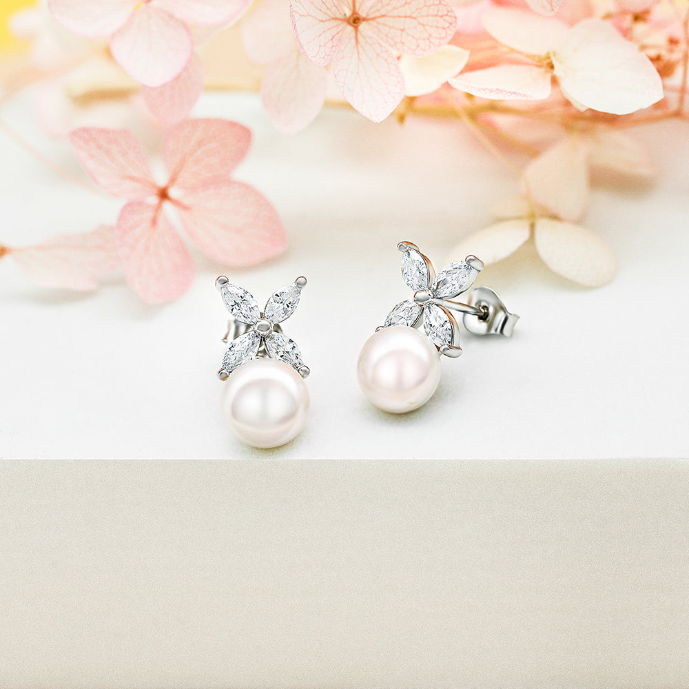Silver Earnings - TLED 003